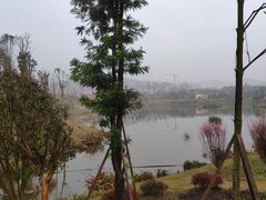 -枫香湖儿童公园