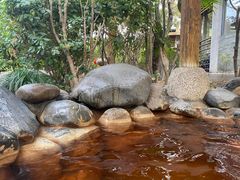 -张家港金凤凰度假村温泉