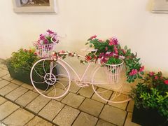 -华谊兄弟（长沙）电影小镇