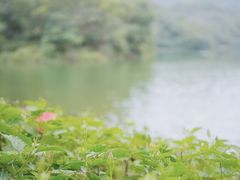 -广州市白云山风景名胜区
