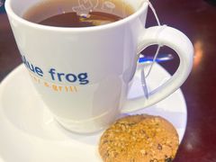 -blue frog蓝蛙(长泰广场店)