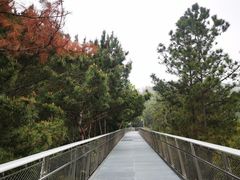 -狐尾山公园