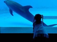 -西海国立公园九十九岛水族馆