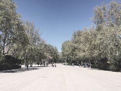 -丽池公园