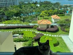 -惠州金海湾嘉华度假酒店