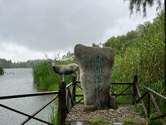 -溱湖国家湿地公园