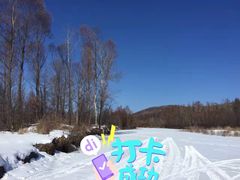 -呼伦贝尔大草原