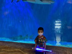 -华夏文旅海洋公园