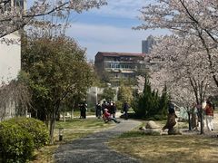 -堤角公园