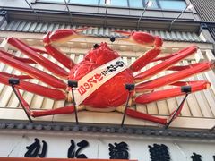 -蟹道乐(道顿堀本店)
