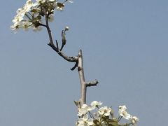 -白沙门生态公园