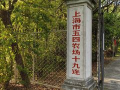 -上海海湾国家森林公园