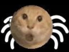 -麦德龙(嘉定店)