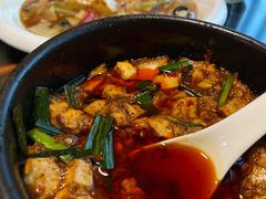 -陈麻婆豆腐总店