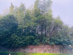 -天目湖涵田半山温泉