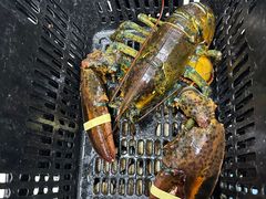 -琼大师东方烤乳猪(亚特兰蒂斯店)