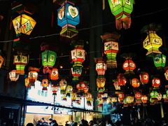 -锦江乐园舞狸花花游园会(夜场专享)