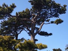 -妙峰山风景名胜区