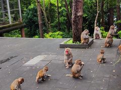 -千岛湖东南湖区