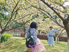 -白塘生态植物园