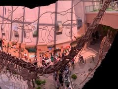 -陕西自然博物馆