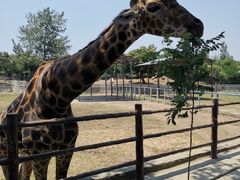 -西安秦岭野生动物园