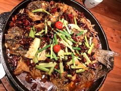 -老板恋上鱼(振华商厦店)