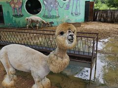 -鄂尔多斯野生动物园