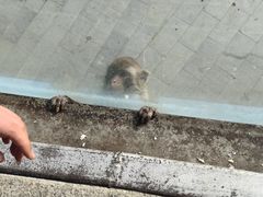-无锡动物园·太湖欢乐园
