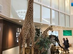 -阪急百货店(梅田总店)
