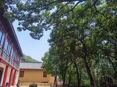 -宝界山林公园
