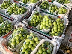 -西郊国际农产品交易中心