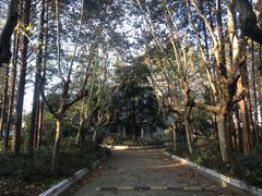 -冶山国家矿山公园