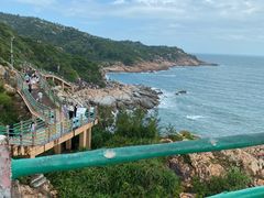 -广东惠东海龟国家级自然保护区