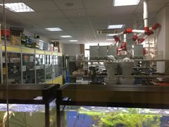 -上海市虹口区青少年活动中心(欧阳路)