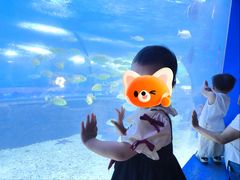 -重庆欢乐海底世界
