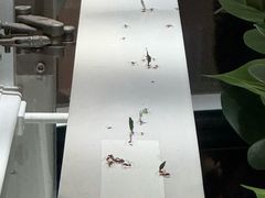 -美国自然历史博物馆