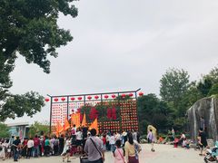 -合肥滨湖国家森林公园