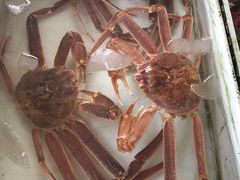 -南沙十九涌渔人码头-南门