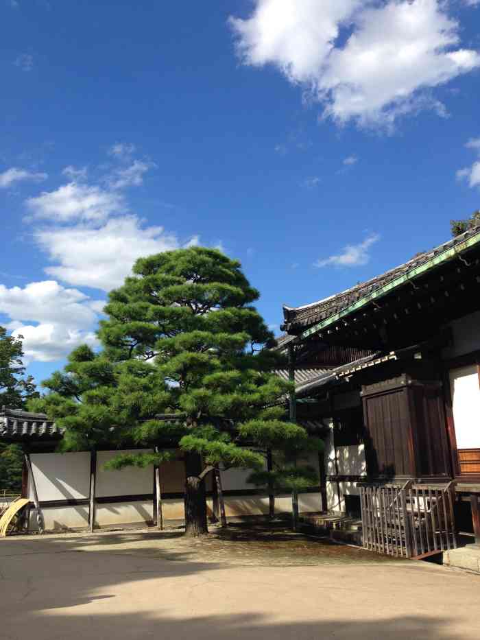 二之丸庭园-"本丸御殿和二之丸御殿为二条城的主要建筑 .