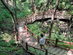 -大岭沟猕猴桃谷风景区