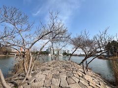 -美兰湖景区
