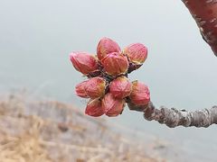 -颐和园