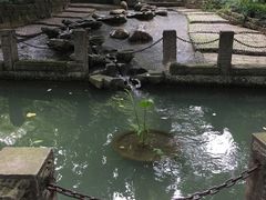 -成都市活水公园