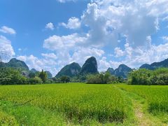 -靖西鹅泉风景区