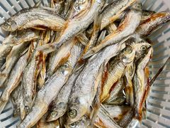 -苏州河梦清园环保主题公园