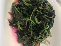 -菩提树·素食餐厅(汇智国际商业中心店)