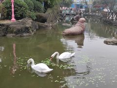 -海合安武汉极地海洋公园