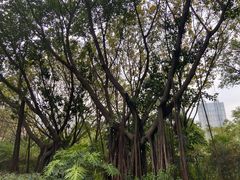 景点-广州珠江公园