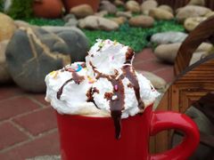 -森居forest休闲咖啡聚集地